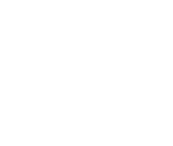 globe-like icon with a variety of network nodes branching from a TMP logo node